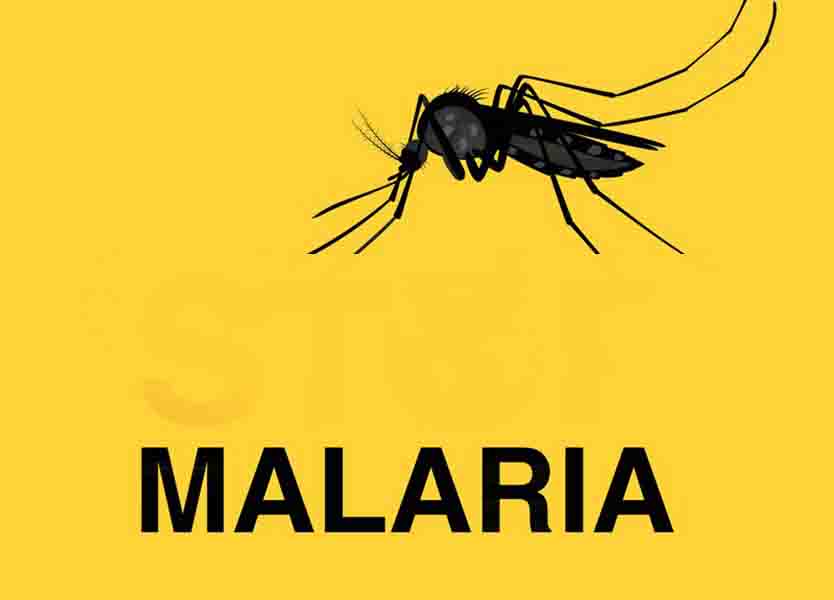includes the word MALARIA